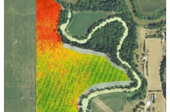 NDVI com Drones: A saúde da vegetação através de imagens