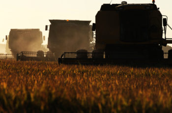 Novo salto de qualidade na agricultura brasileira