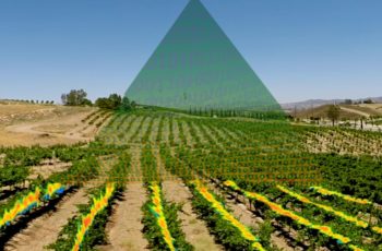 Drones: Monitoramento feito das alturas