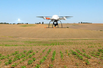 Drones e agricultura global: muitas transformações