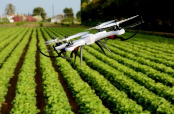 Agricultura Digital: entenda o passo a passo!