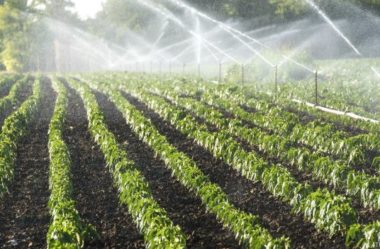 Drone vai ajudar municípios fluminenses a monitorar uso da água na agricultura